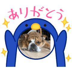 seira_20220731205955