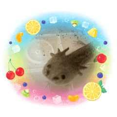 seira_20220731204551