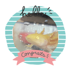 seira_20220731202956