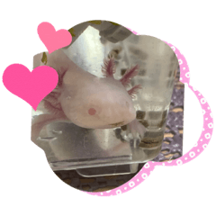 seira_20220731210813