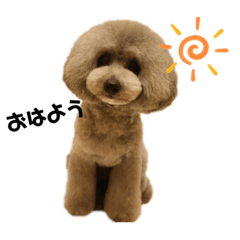 toranosuke_20220731221811