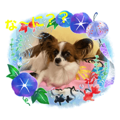 hikari_20220731222012