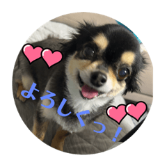 Momoko_20220731212738