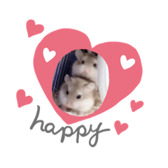 shiho_20220801001937