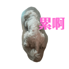 群組帥哥專用貼圖（3）