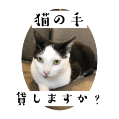ユキトキの日常3