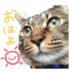 yuka_20220801032733