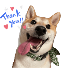 natsumi_20220731230932