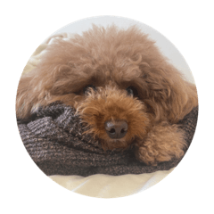 Mizuki_20220801114557