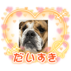 seira_20220801131232