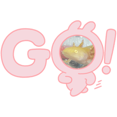 seira_20220801124659