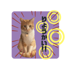 u_chin stamp