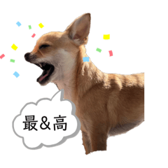 Ton_20220801151517