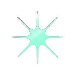 TEST_STAR_13