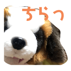 kuu_20220801000003