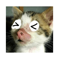 ALiCE_20220801014238