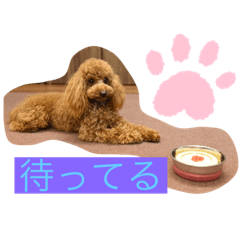 Arisa_20220801160113