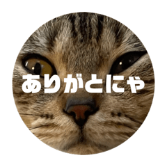 Hana_20220801165507