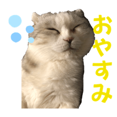 yukari_20220801175313