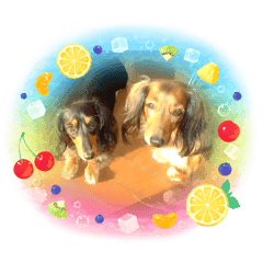 maichi_20220801201842