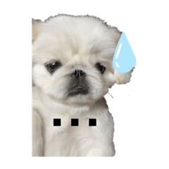 omo_20220801180623