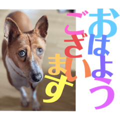 momoko_20220801203224