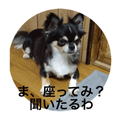 yun_20220801184737