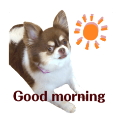 Lilys mom_20220801201837