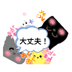 Shiho_20220801135913