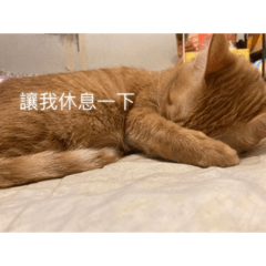 不明來源(๑°ㅁ°๑)