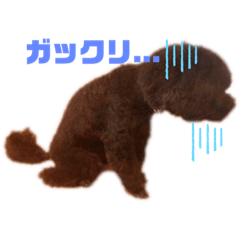 alice_20220801182136