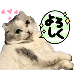 yukari_20220801204227