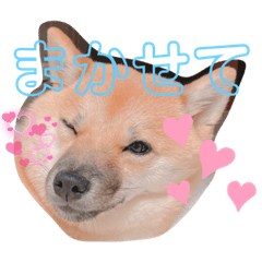 Yuka_20220801232006