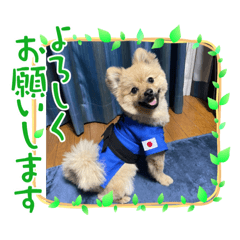 rurutan_20220802073323