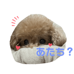 chawa_20220802113301