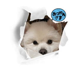 ayumi_20220802124658