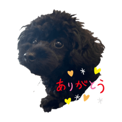 Megumi_20220802130410