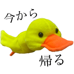 guwaguwachan