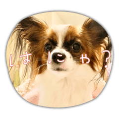 hikari_20220802141509