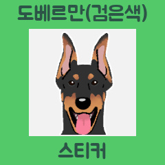 Doberman(Black) (ko)
