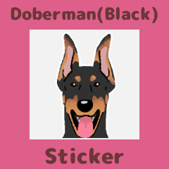 Doberman(Black) (en)