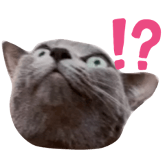 Milo, Luna, Leon and Jill