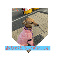 Ruby_20220802155924