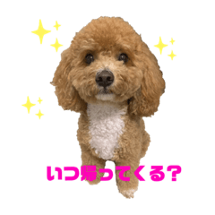 aoi_20220802173813