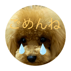 Yuto_20220802174632