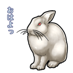 Rabbit realistic illustration