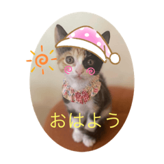suzu_20220802213511