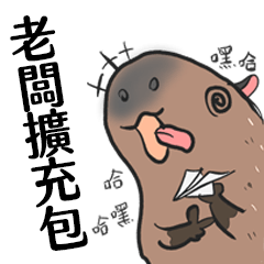 CapybaraBoss DLC