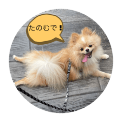 MIZUKI_20220802204606