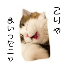 jack_20220802235255
